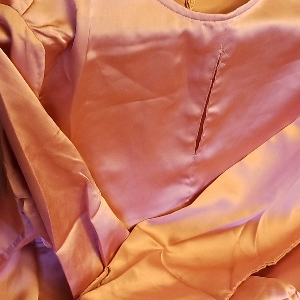 Nwot Silky satin long sleeve blouse.